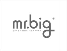 Mr Big Ergonomic sleep solutions developed with medical expertise.
